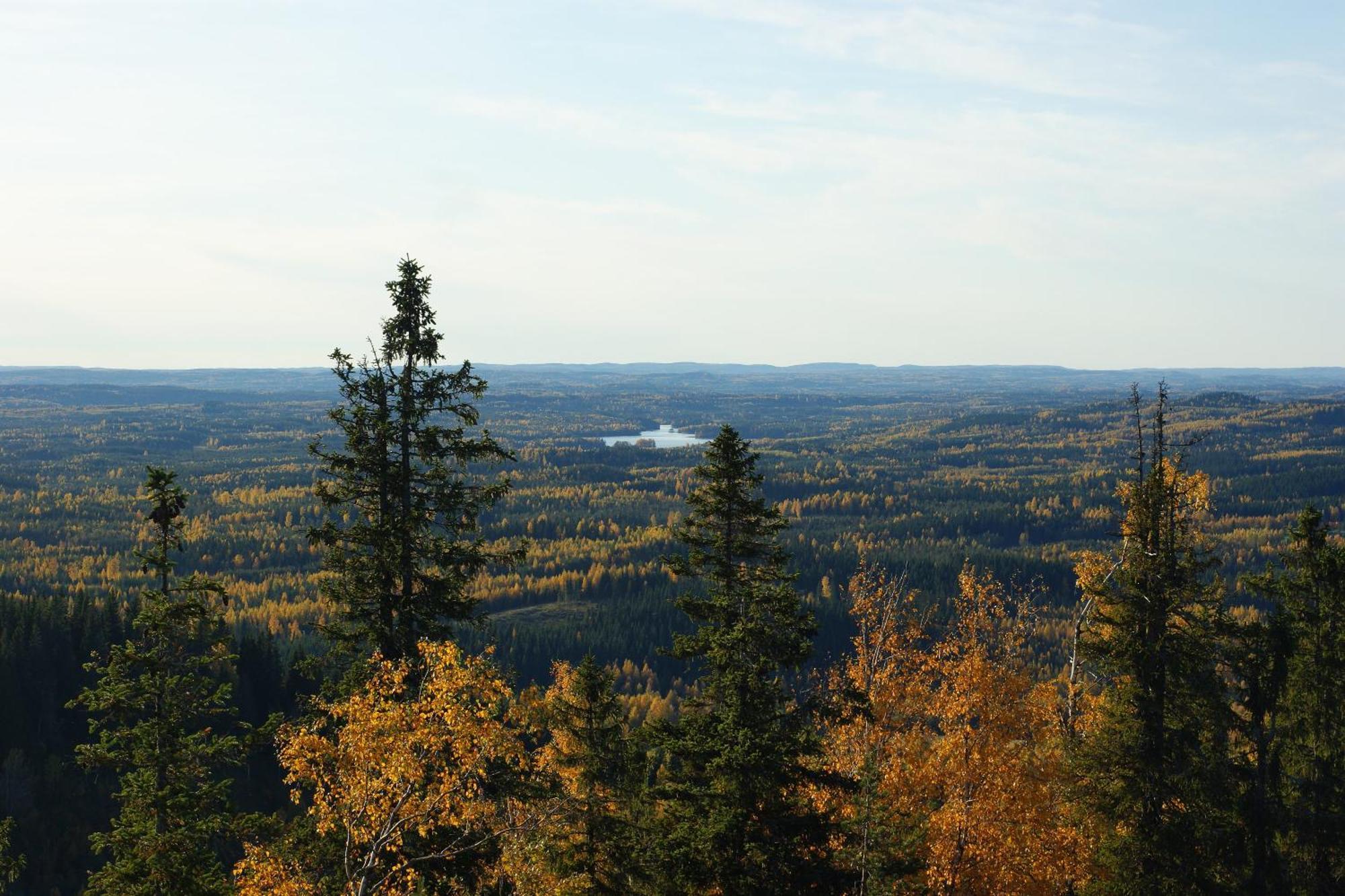 Paimentupa Villa Kolinkylä Kültér fotó