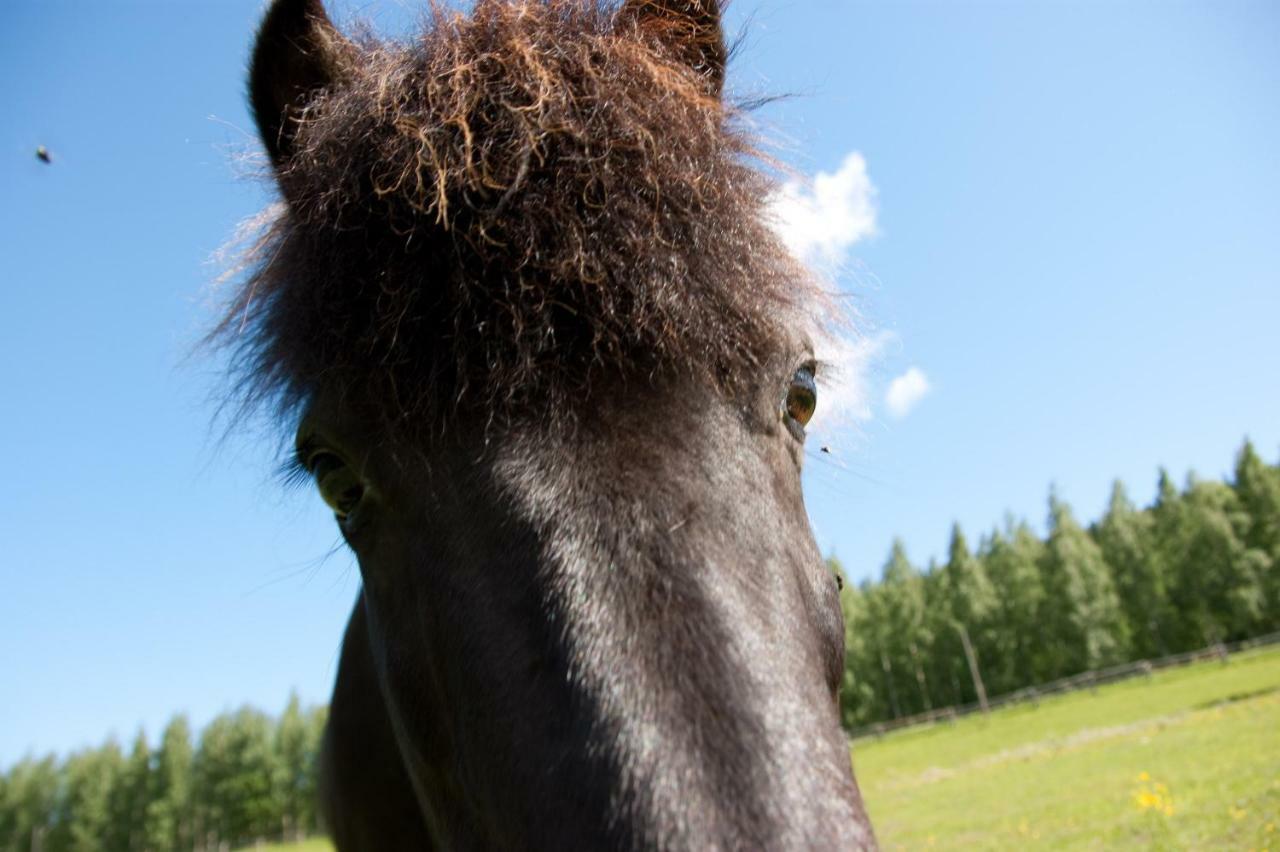 Paimentupa Villa Kolinkylä Kültér fotó